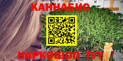 крисы Норильск