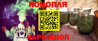 индика Ногинск