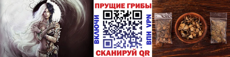 наркотики  Мирный  Галлюциногенные грибы Magic Shrooms 