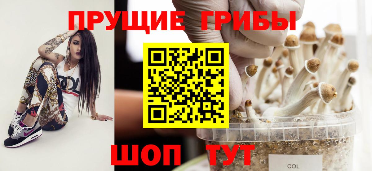 Галлюциногенные грибы GOLDEN TEACHER Мирный